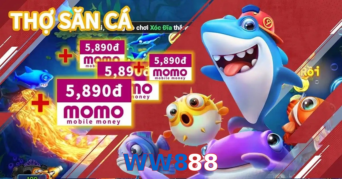 WW888