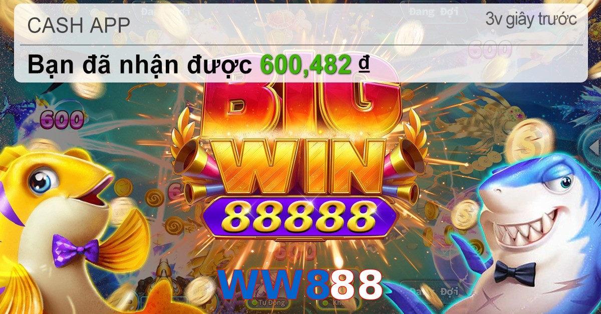 WW888